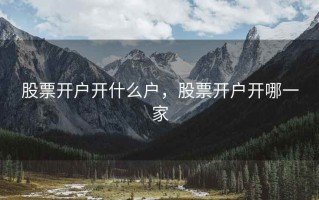 股票开户开什么户，股票开户开哪一家