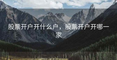 股票开户开什么户，股票开户开哪一家