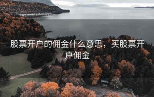 股票开户的佣金什么意思，买股票开户佣金