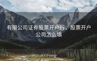 有限公司证券股票开户行，股票开户公司怎么填
