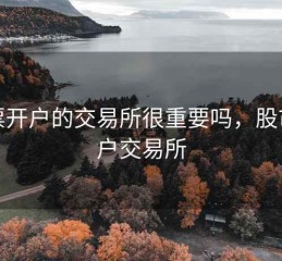 股票开户的交易所很重要吗，股市开户交易所