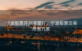 宁波股票开户哪里好，宁波股票交易所有几家