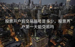 股票开户后交易账号是多少，股票开户第一天能交易吗