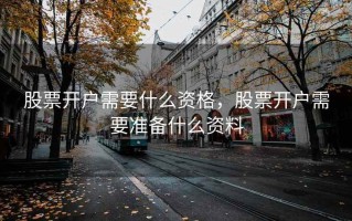 股票开户需要什么资格，股票开户需要准备什么资料