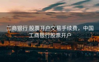 工商银行 股票开户交易手续费，中国工商银行股票开户