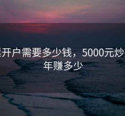 股票开户需要多少钱，5000元炒股一年赚多少