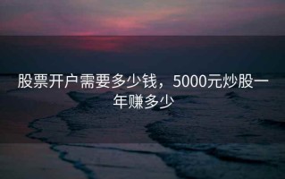 股票开户需要多少钱，5000元炒股一年赚多少