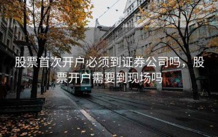 股票首次开户必须到证券公司吗，股票开户需要到现场吗