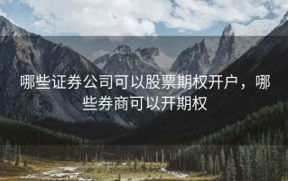 哪些证券公司可以股票期权开户，哪些券商可以开期权