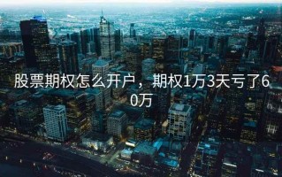 股票期权怎么开户，期权1万3天亏了60万
