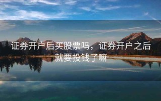 证券开户后买股票吗，证券开户之后就要投钱了嘛