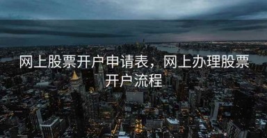 网上股票开户申请表，网上办理股票开户流程