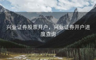 兴业证券股票开户，兴业证券开户进度查询