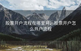 股票开户流程在哪里开，股票开户怎么开户流程