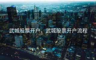 武城股票开户，武城股票开户流程