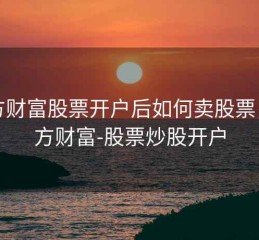 东方财富股票开户后如何卖股票，东方财富-股票炒股开户