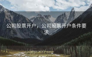 公司股票开户，公司股票开户条件要求