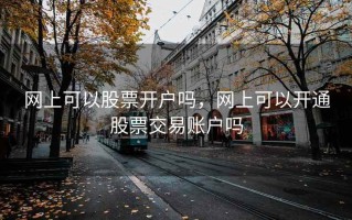 网上可以股票开户吗，网上可以开通股票交易账户吗