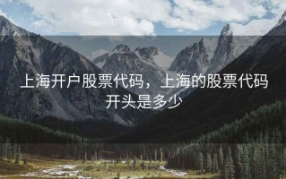 上海开户股票代码，上海的股票代码开头是多少
