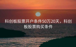 科创板股票开户条件50万20天，科创板股票购买条件