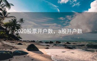 2020股票开户数，a股开户数