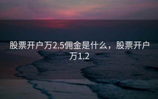 股票开户万2.5佣金是什么，股票开户万1.2