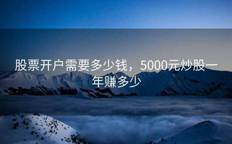 股票开户需要多少钱，5000元炒股一年赚多少