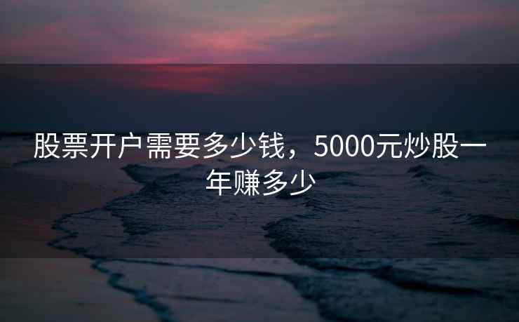 股票开户需要多少钱，5000元炒股一年赚多少