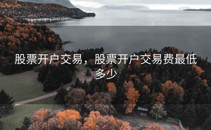 股票开户交易，股票开户交易费最低多少