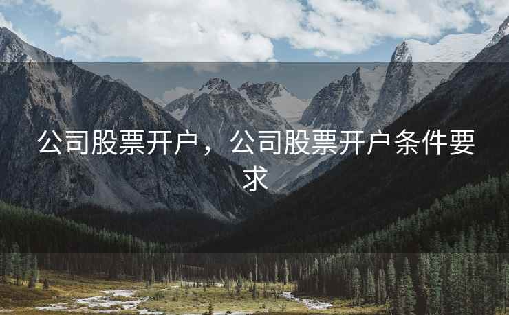 公司股票开户，公司股票开户条件要求