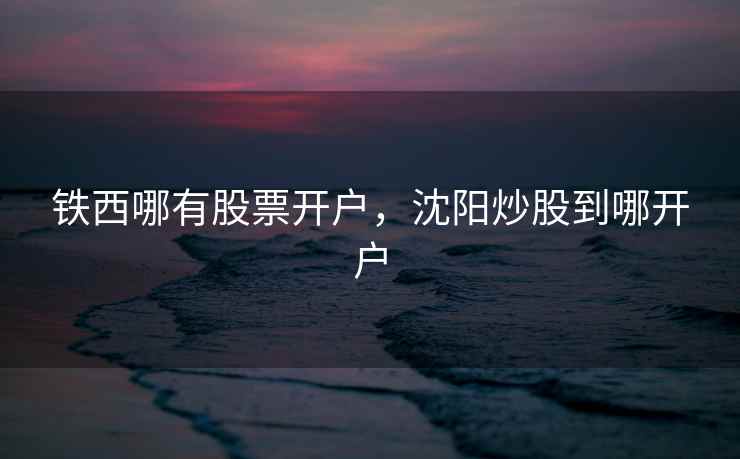 铁西哪有股票开户,沈阳炒股到哪开户 铁西哪有股票开户,沈阳炒股到哪开户