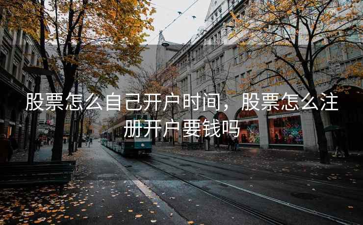 股票怎么自己开户时间，股票怎么注册开户要钱吗