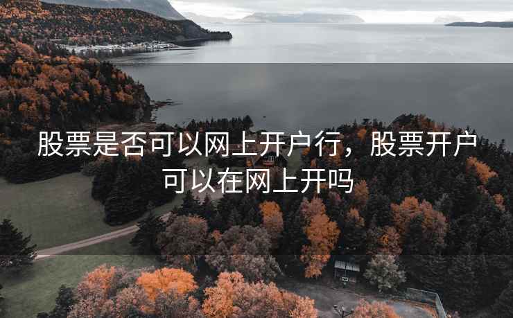 股票是否可以网上开户行，股票开户可以在网上开吗