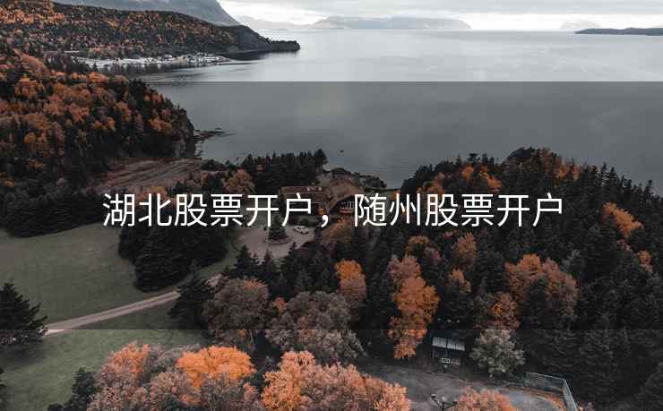 湖北股票开户，随州股票开户