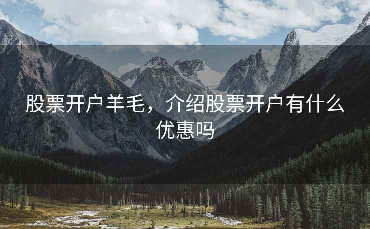 股票开户羊毛，介绍股票开户有什么优惠吗