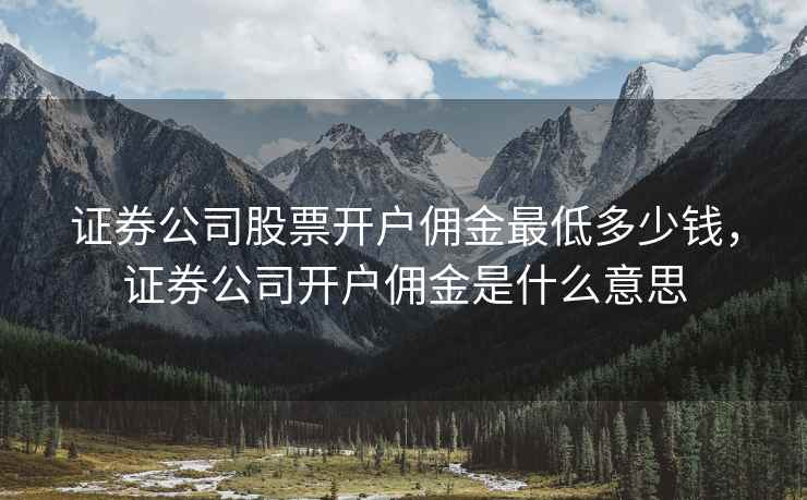 证券公司股票开户佣金最低多少钱，证券公司开户佣金是什么意思