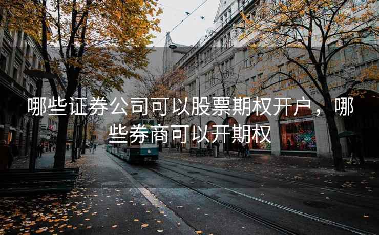 哪些证券公司可以股票期权开户,哪些券商可以开期权 哪些证券公司可以股票期权开户,哪些券商可以开期权
