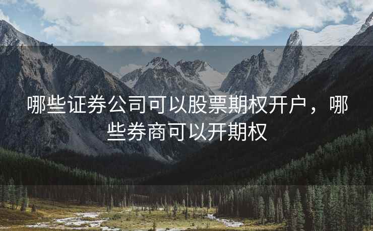 哪些证券公司可以股票期权开户,哪些券商可以开期权 哪些证券公司可以股票期权开户,哪些券商可以开期权