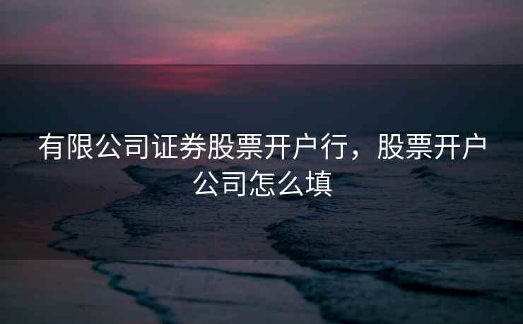有限公司证券股票开户行，股票开户公司怎么填