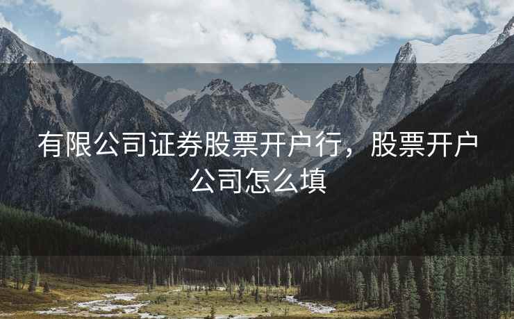 有限公司证券股票开户行，股票开户公司怎么填