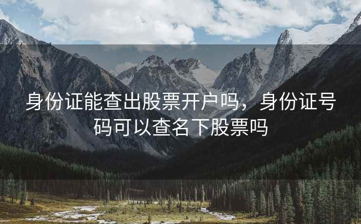 身份证能查出股票开户吗，身份证号码可以查名下股票吗