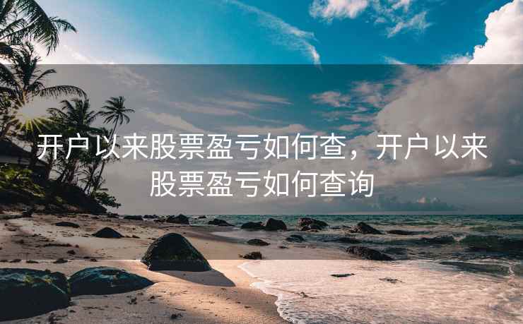 开户以来股票盈亏如何查，开户以来股票盈亏如何查询