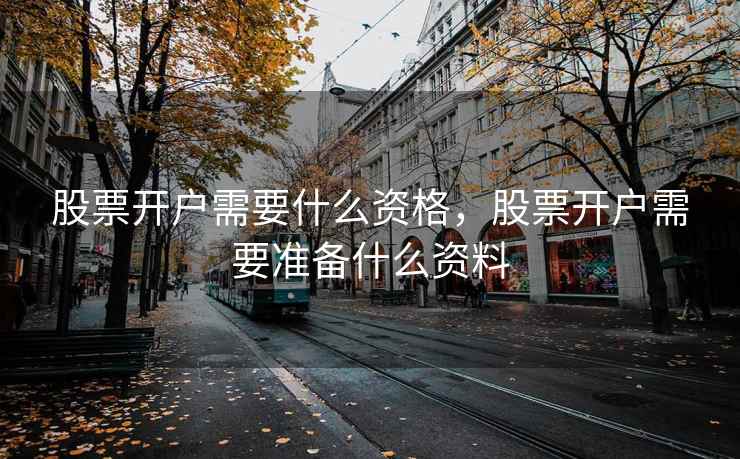 股票开户需要什么资格，股票开户需要准备什么资料