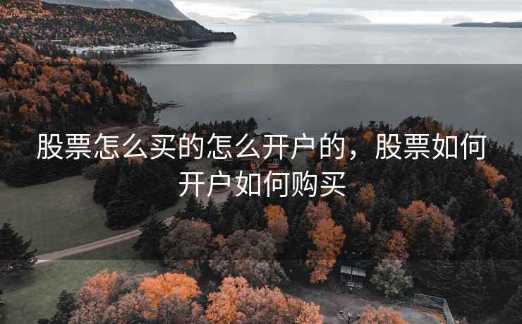 股票怎么买的怎么开户的，股票如何开户如何购买
